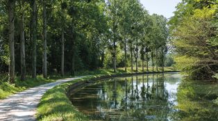 Chemin de halage et alignement de peupliers sur le bief 75 du versant Yonne. Ravières.