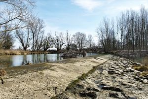 Barrage lié aux moulins de Branges. Traces d'un ancien alignement d'arbres.