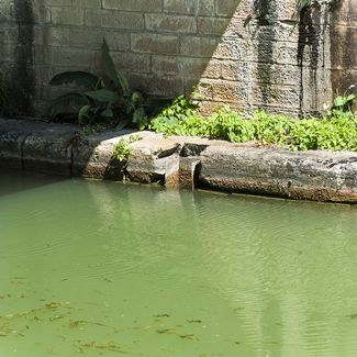 Canal de Bourgogne&nbsp;: détail d’une encoche à batardeau sous le pont de l’écluse 69 du versant Yonne à Buffon.